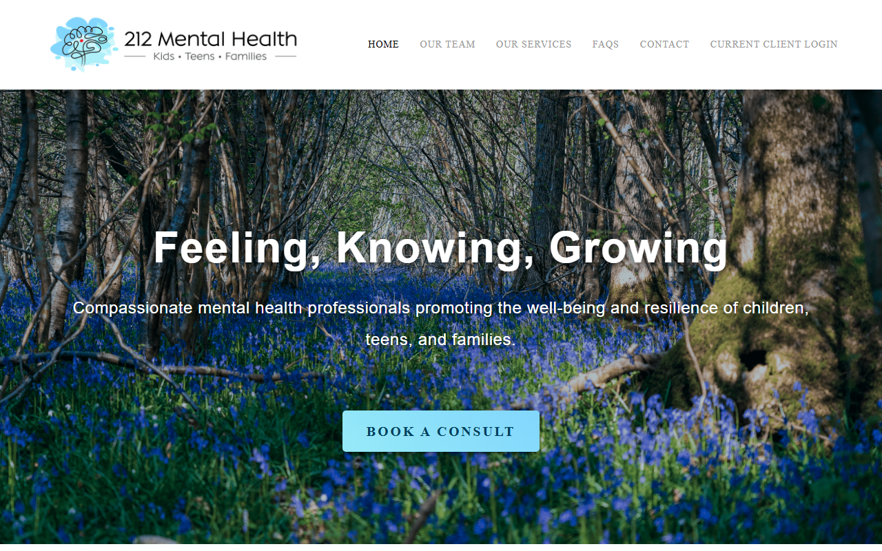 212mentalhealth.com screenshot