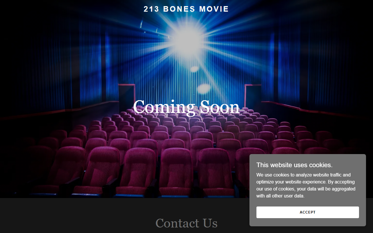 213bonesmovie.com screenshot