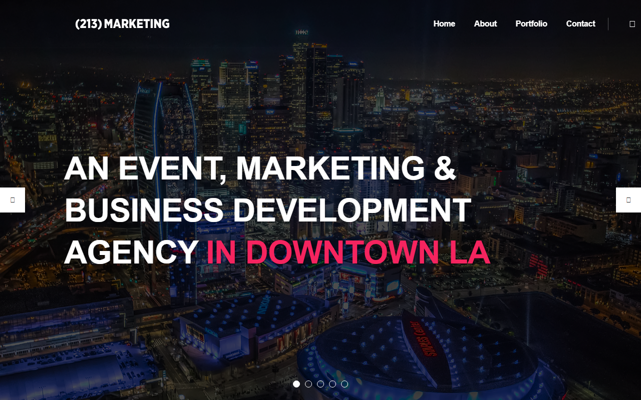 213marketing.com screenshot