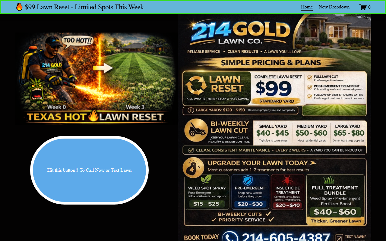 214goldlawnco.com screenshot