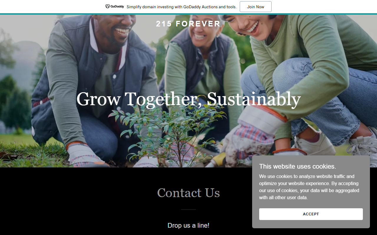 215forever.com screenshot