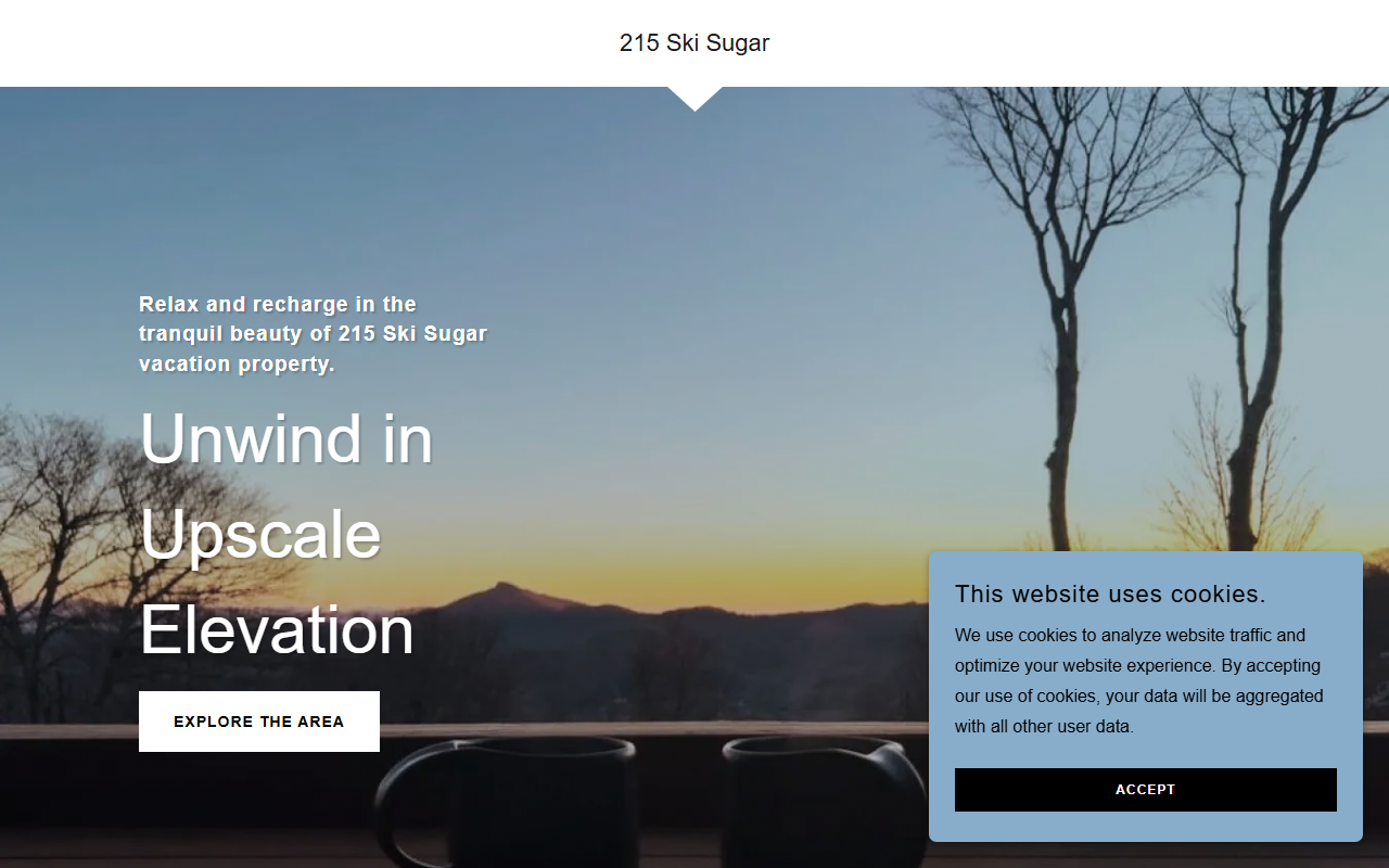215skisugar.com screenshot