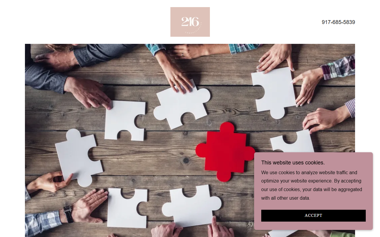 216-consulting.com screenshot