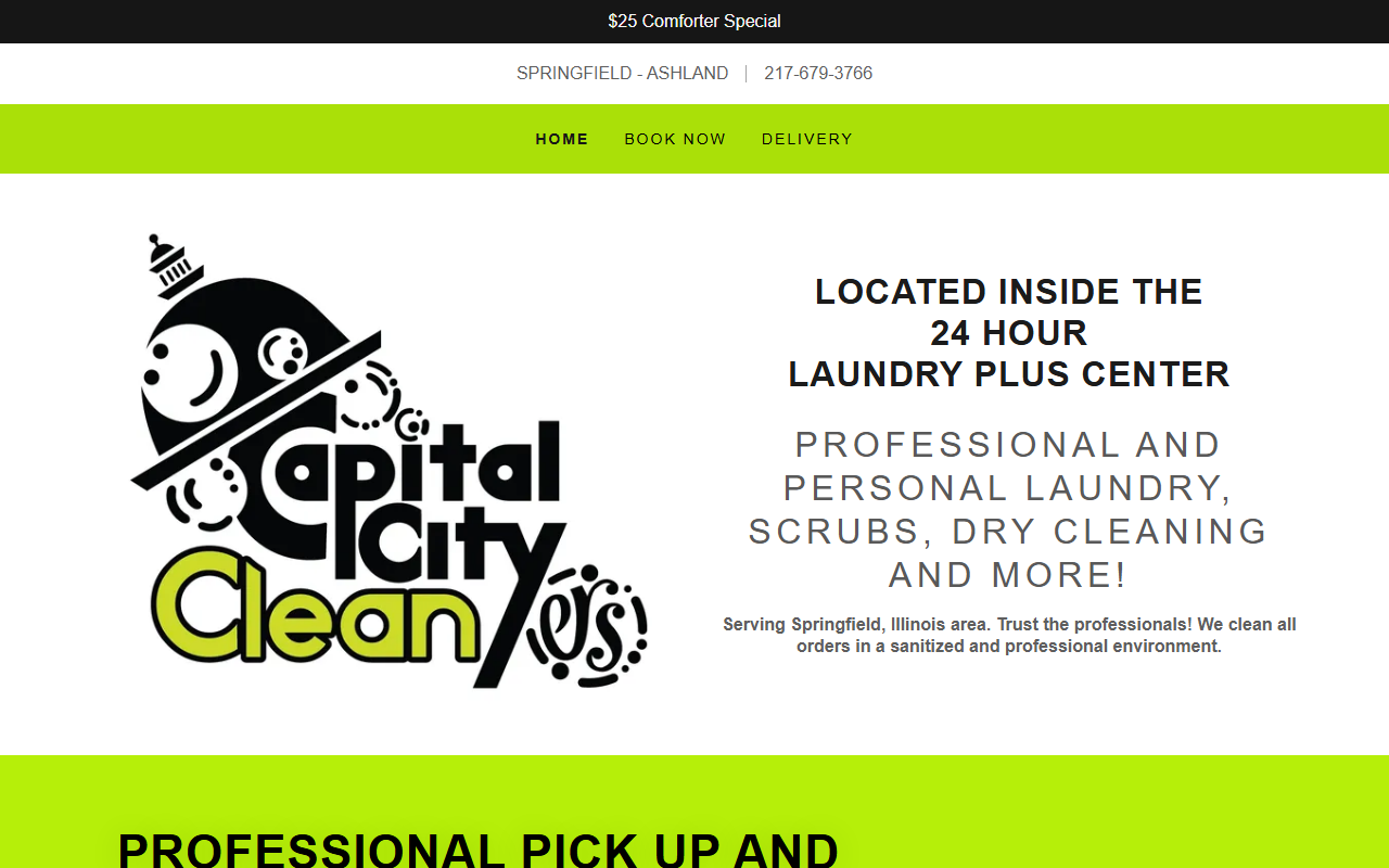 217cleaners.com screenshot