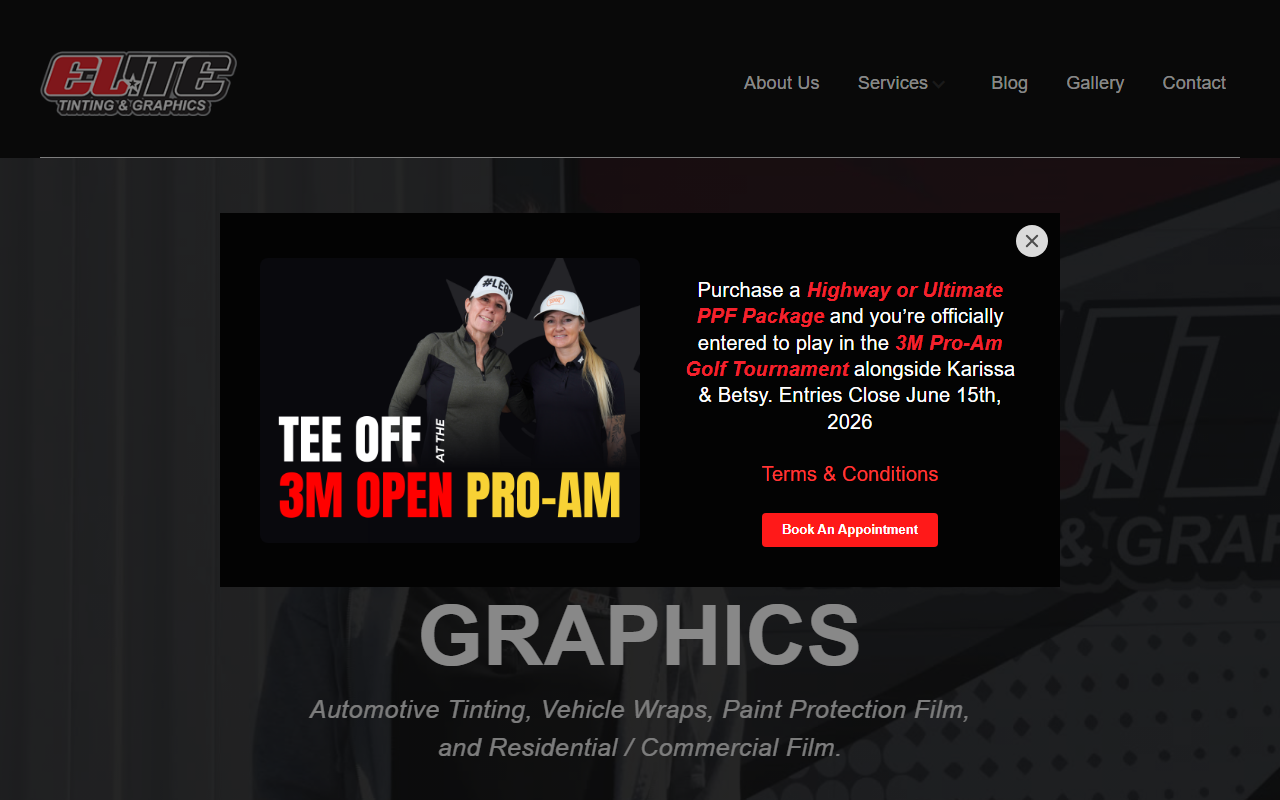 218tinting.com screenshot