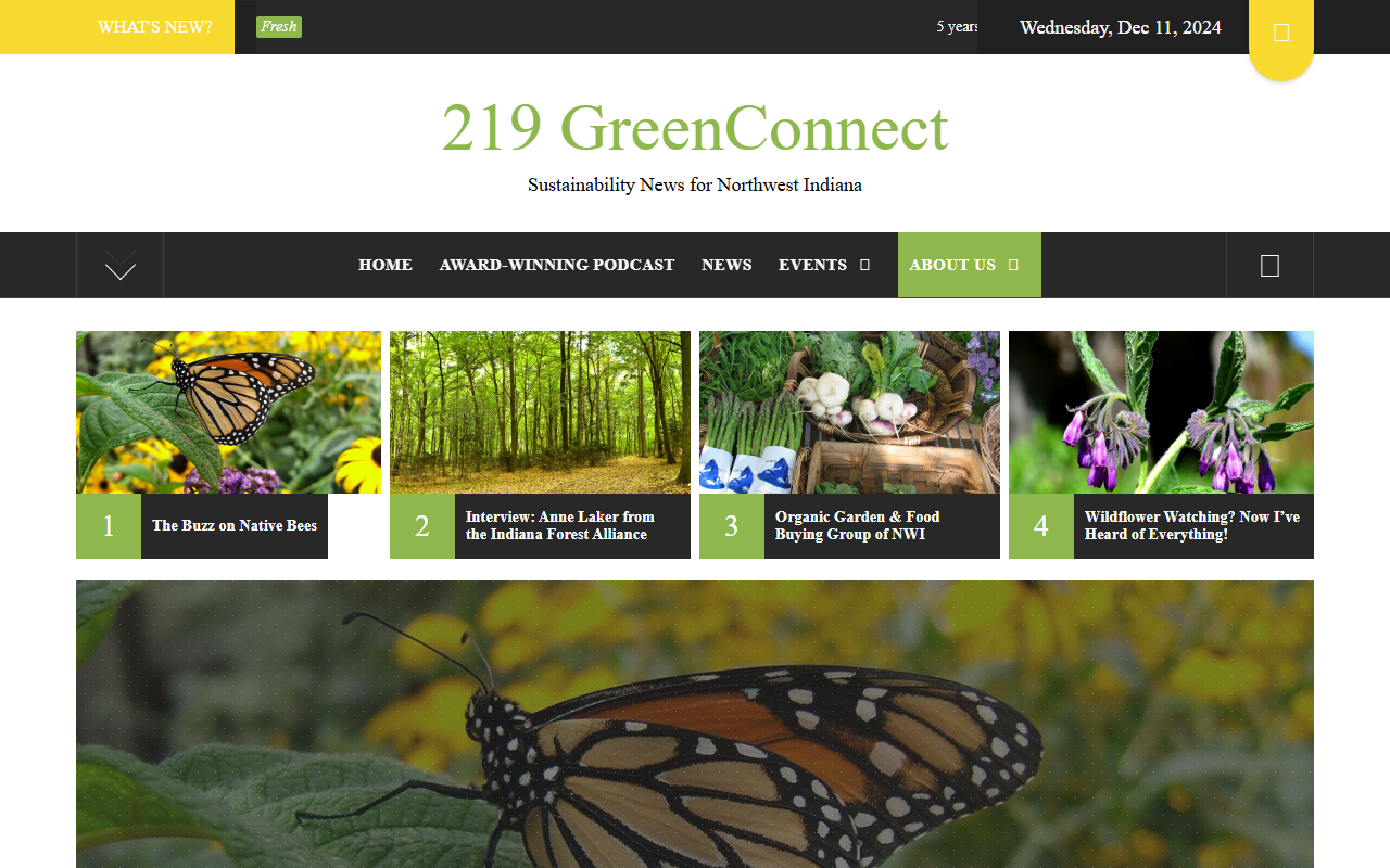 219greenconnect.com screenshot