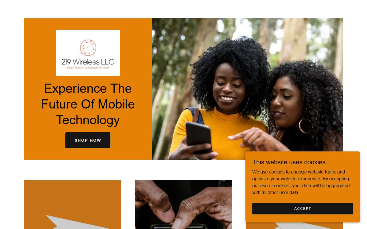 219wireless.com screenshot