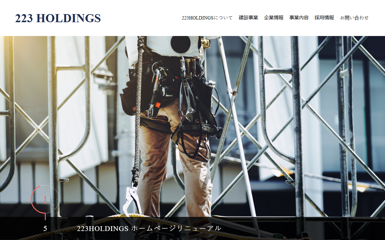 223holdings.com screenshot