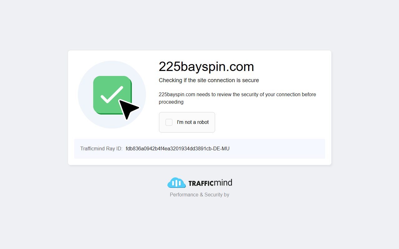 225bayspin.com screenshot