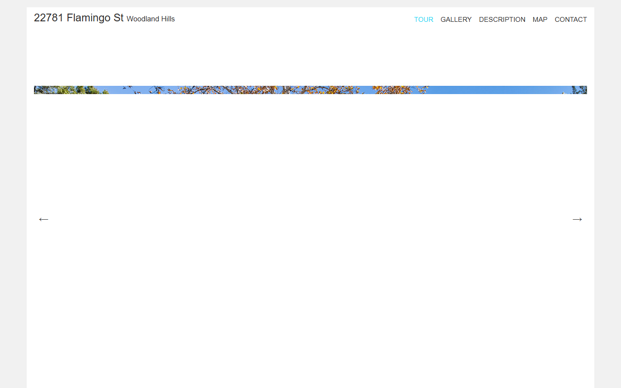 22781flamingo.com screenshot