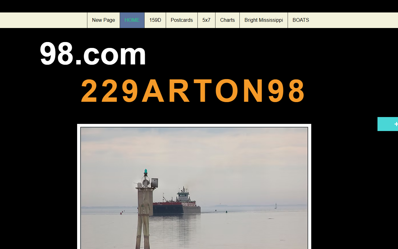 229arton98.com screenshot
