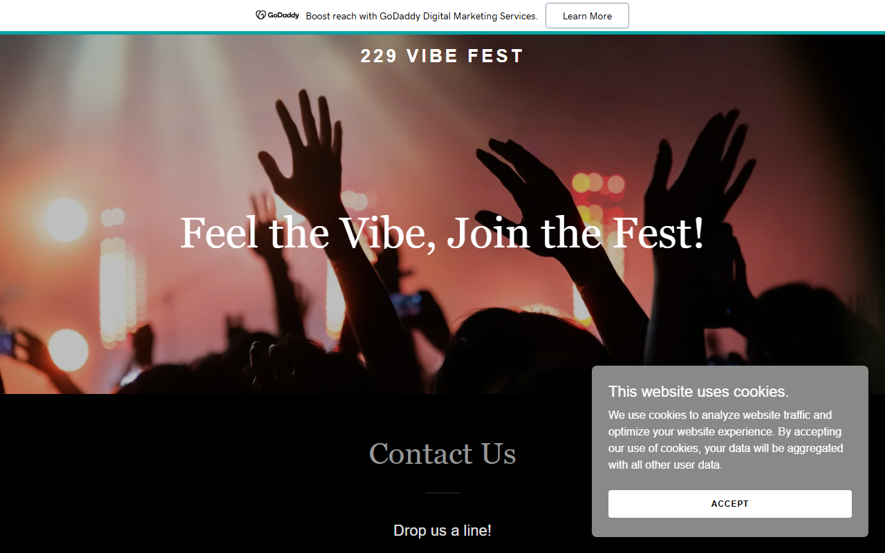 229vibefest.com screenshot