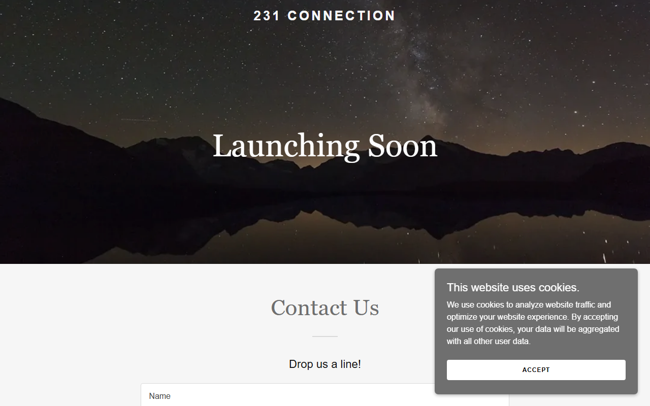 231connnection.com screenshot
