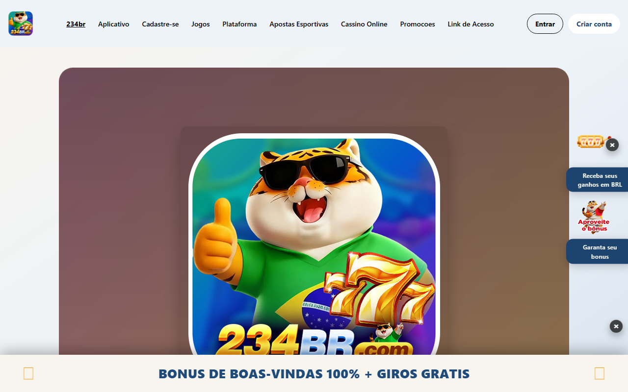 234braviator.com screenshot