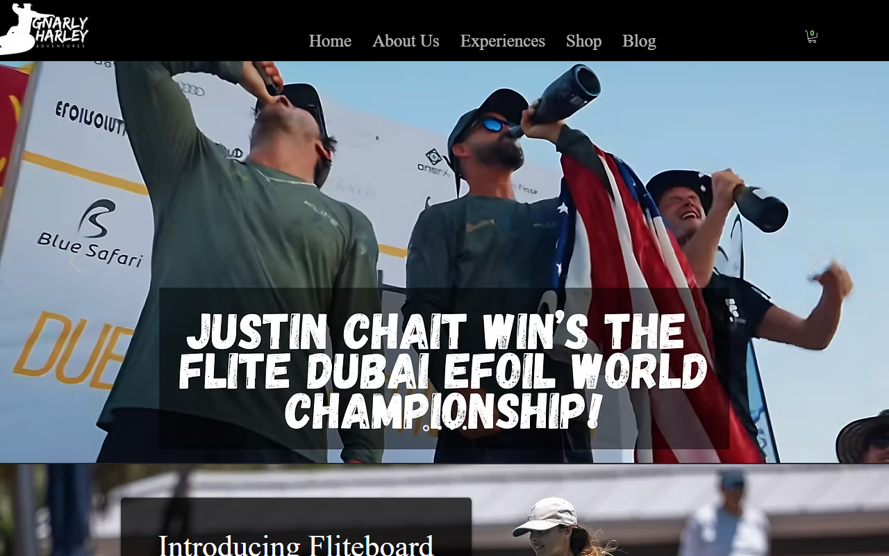 239fliteboard.com screenshot