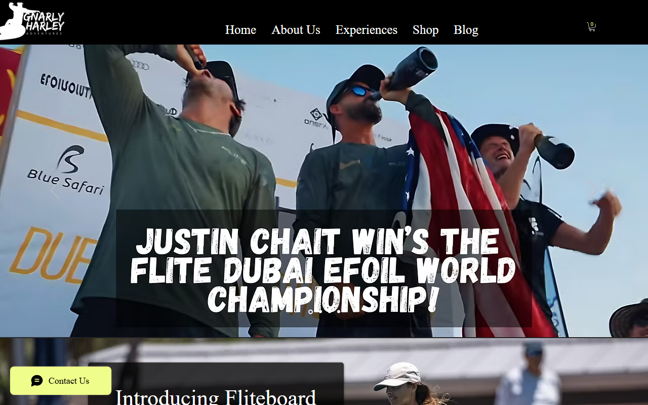 239fliteboarding.com screenshot