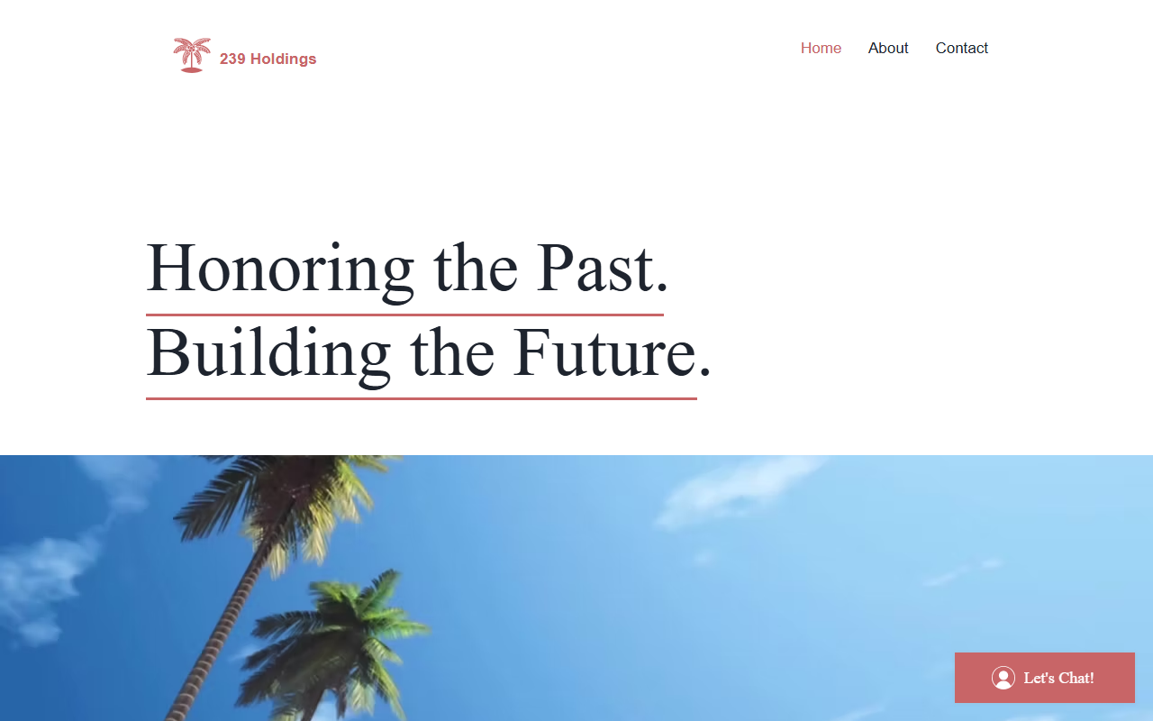 239holdings.com screenshot