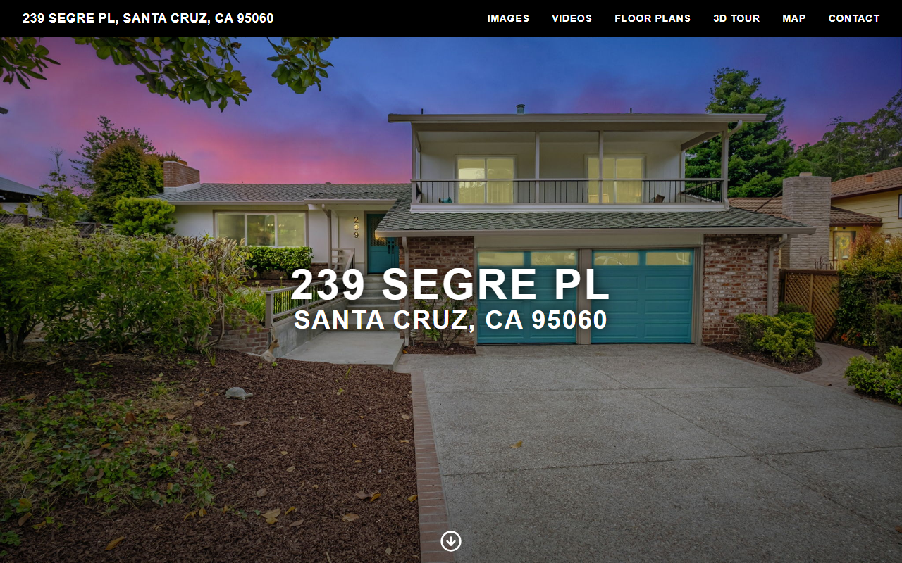 239segrepl.com screenshot