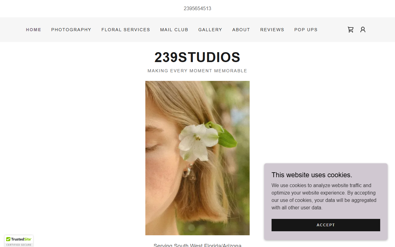 239studios.com screenshot
