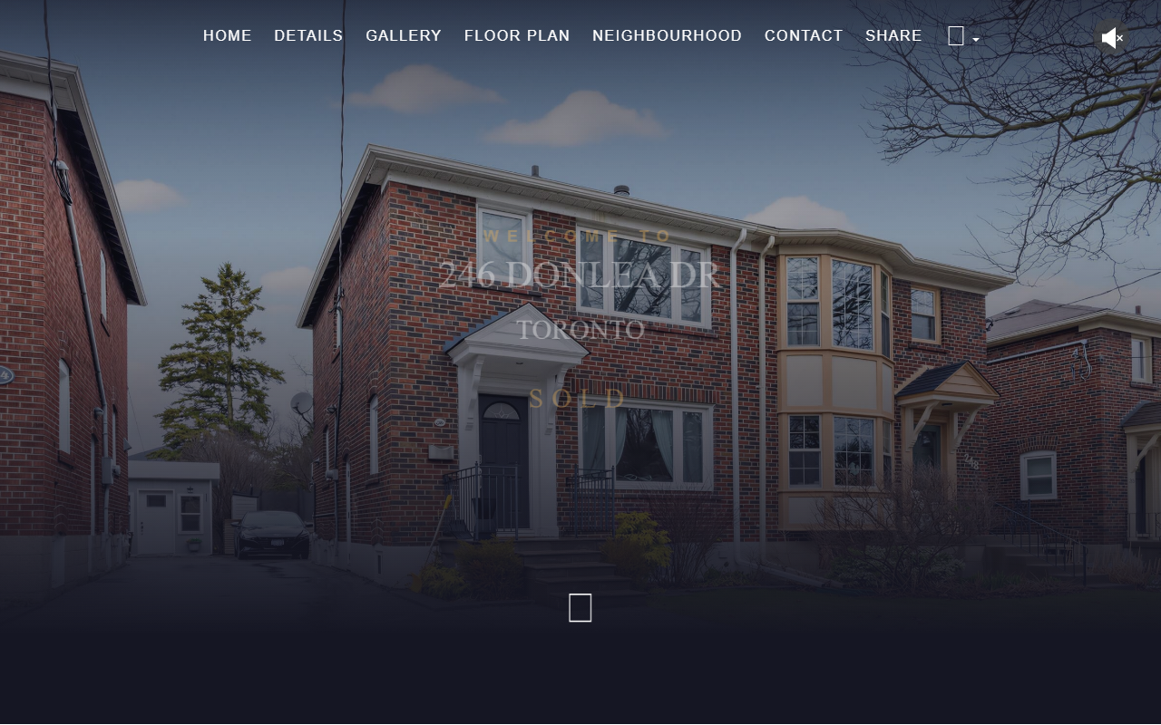 246donleadr.com screenshot