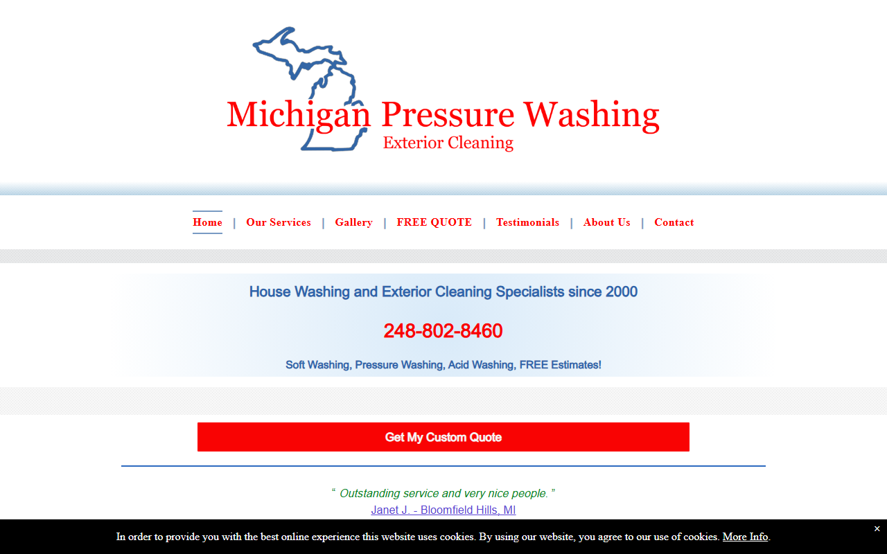 248cleaning.com screenshot