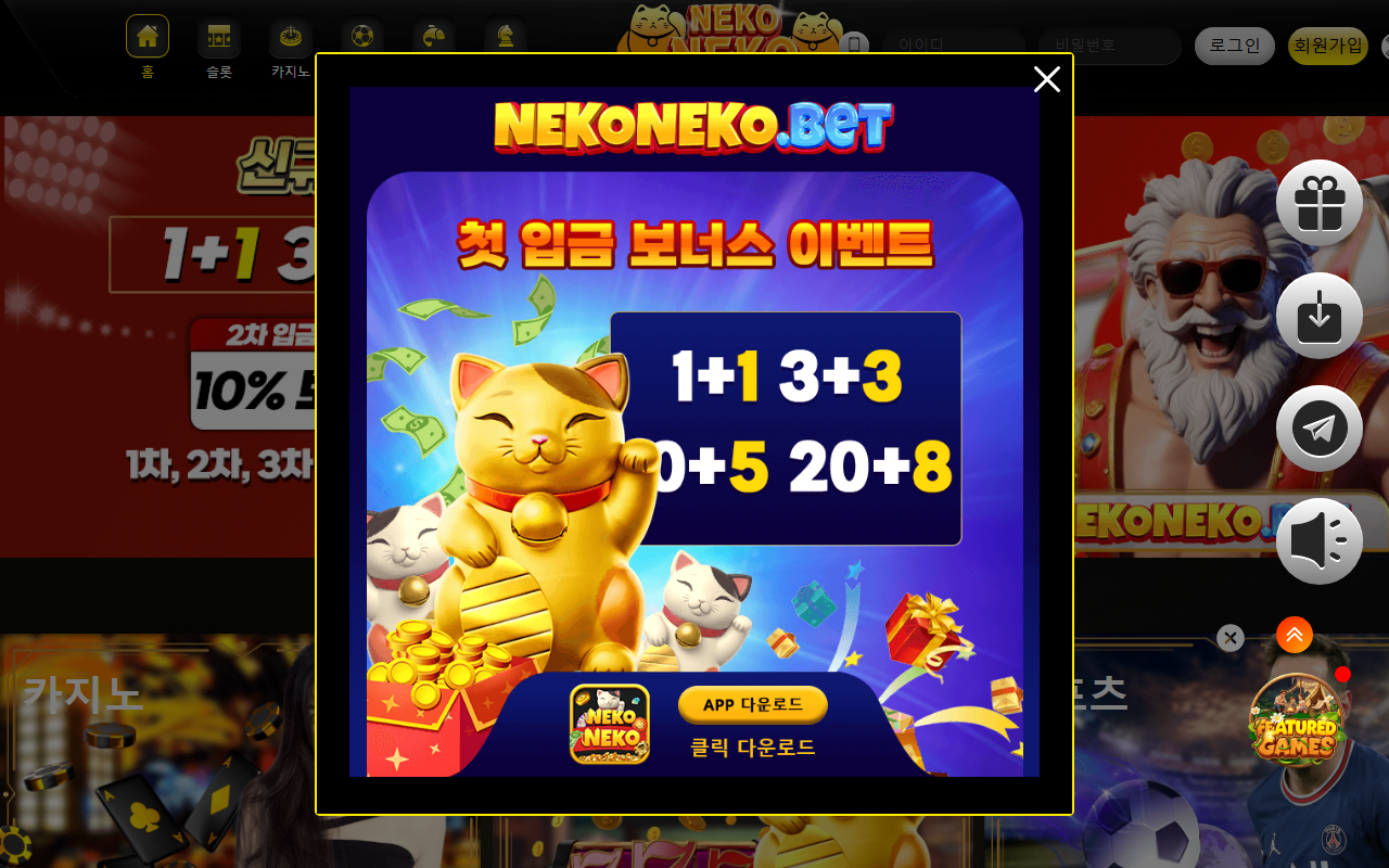 249nekoneko.com screenshot