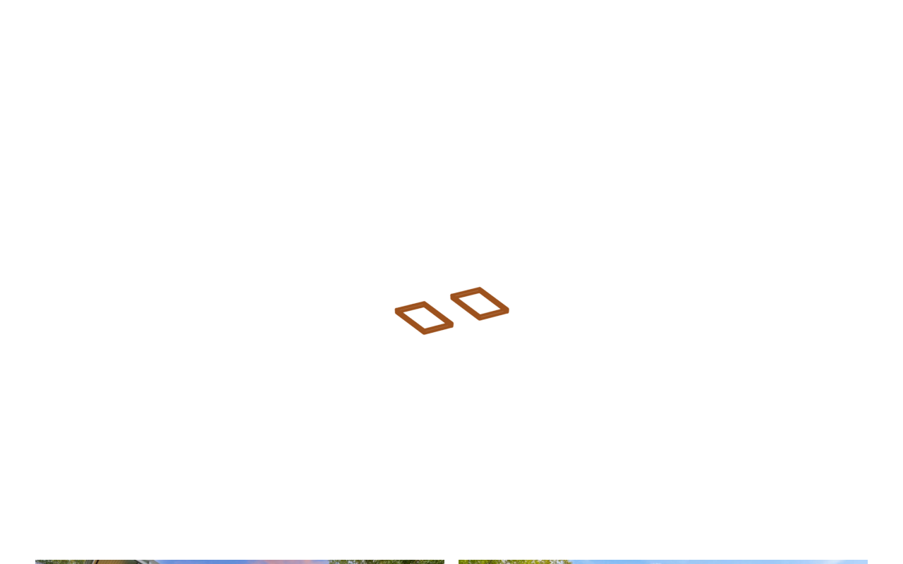 249springvale.com screenshot