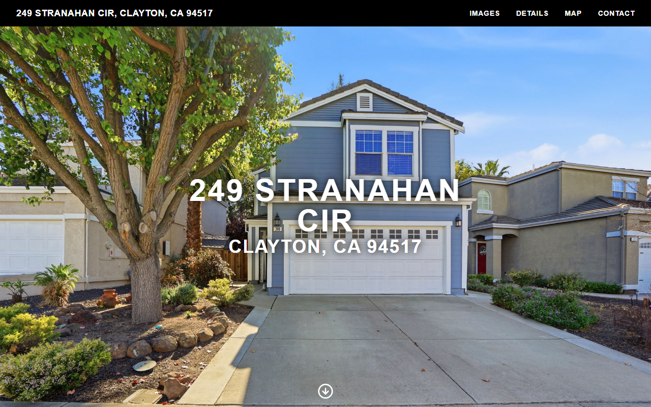 249stranahancir.com screenshot