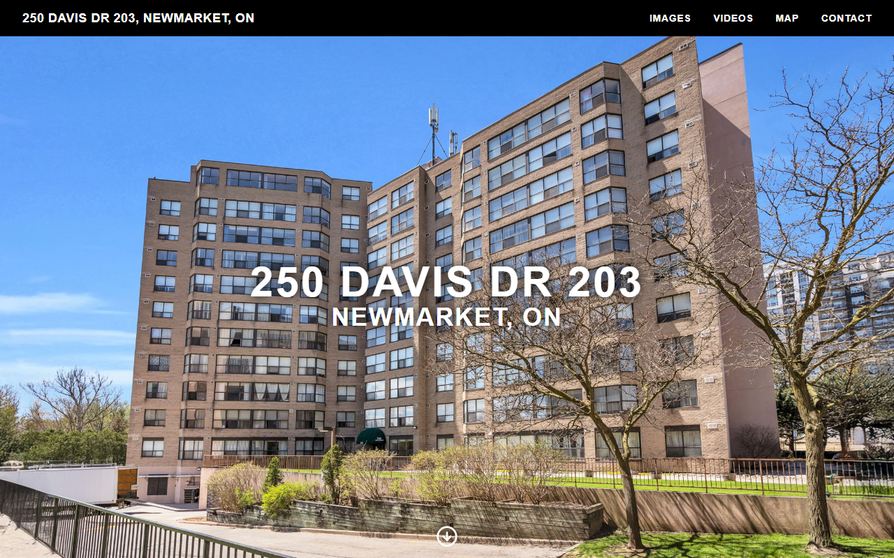 250davisdr203.com screenshot