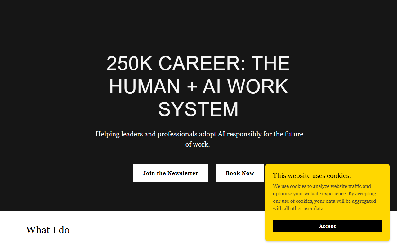 250kcareer.com screenshot