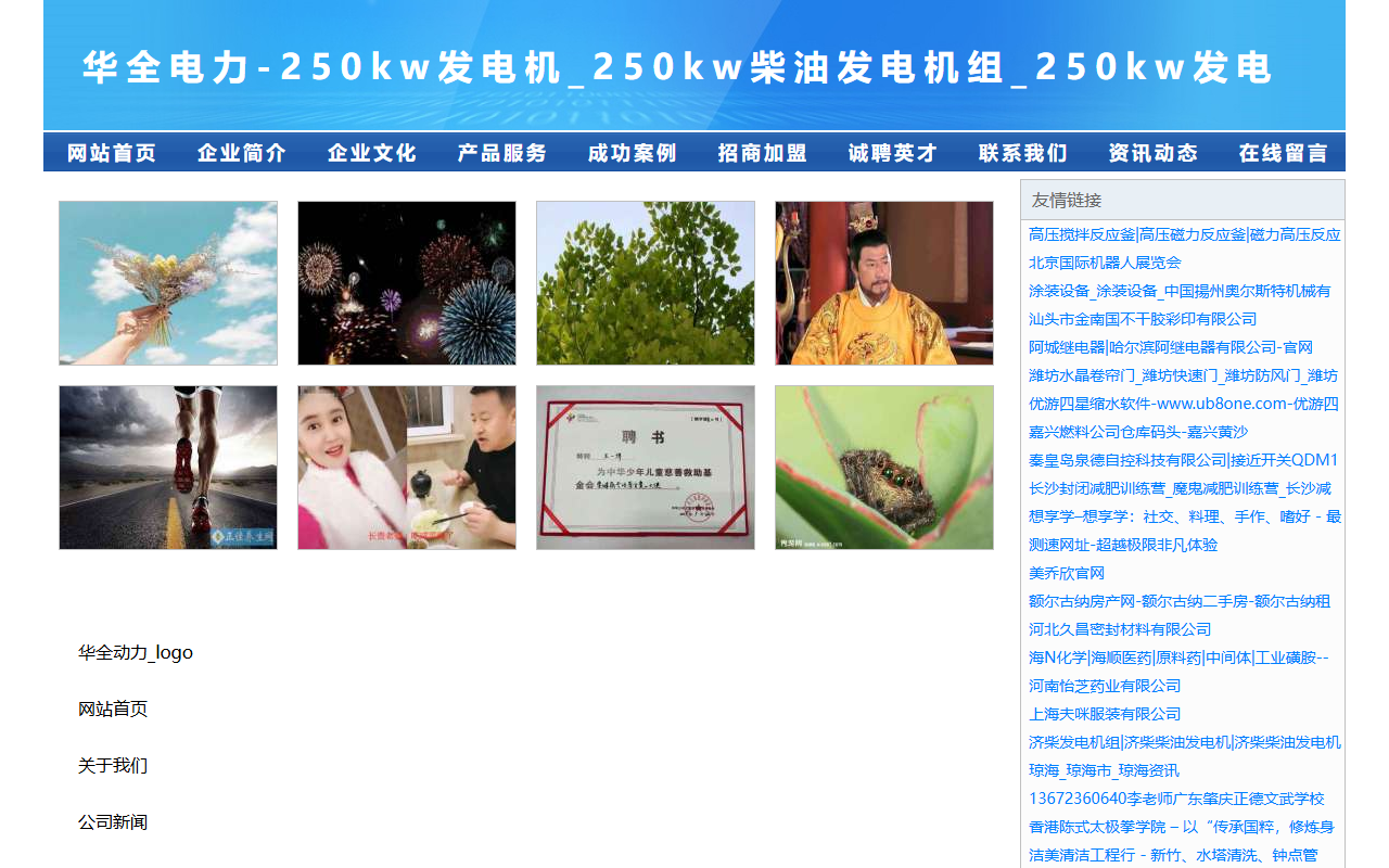 250kwfadianji.com screenshot