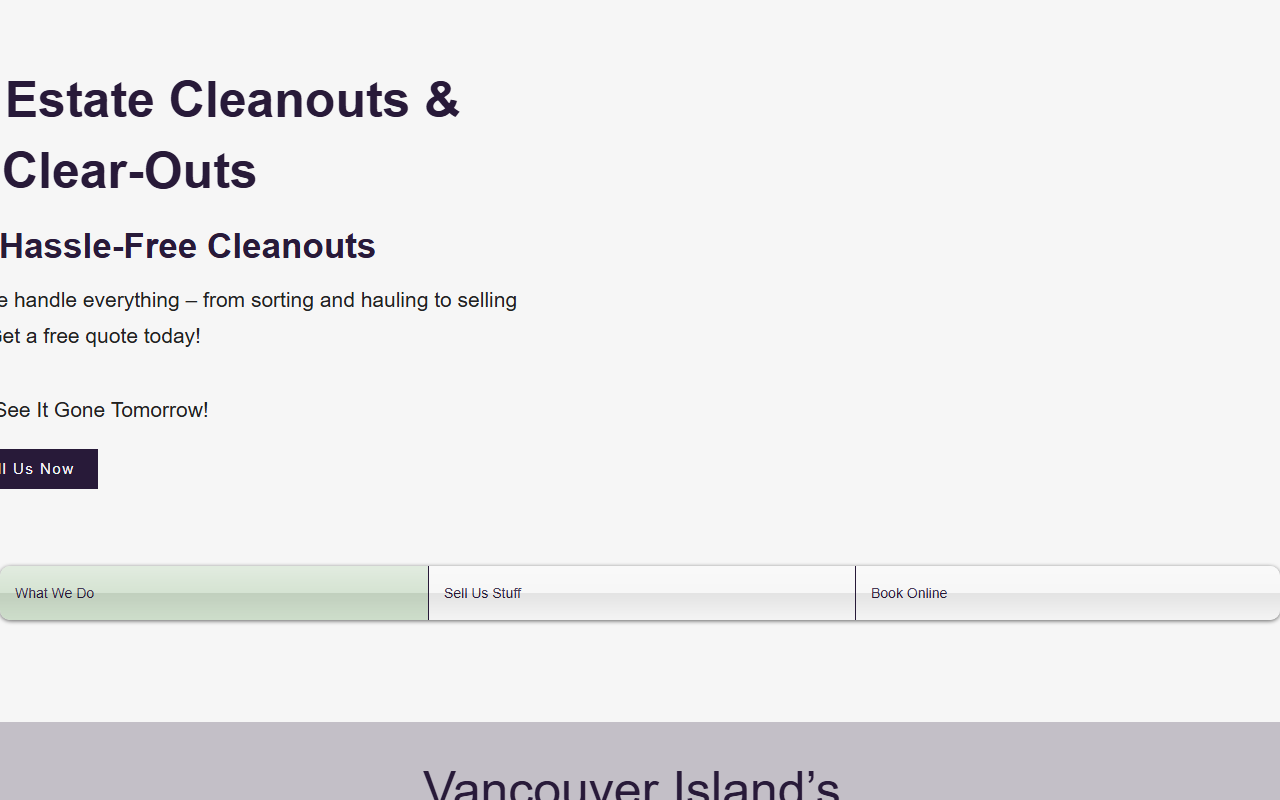 250liquidation.com screenshot