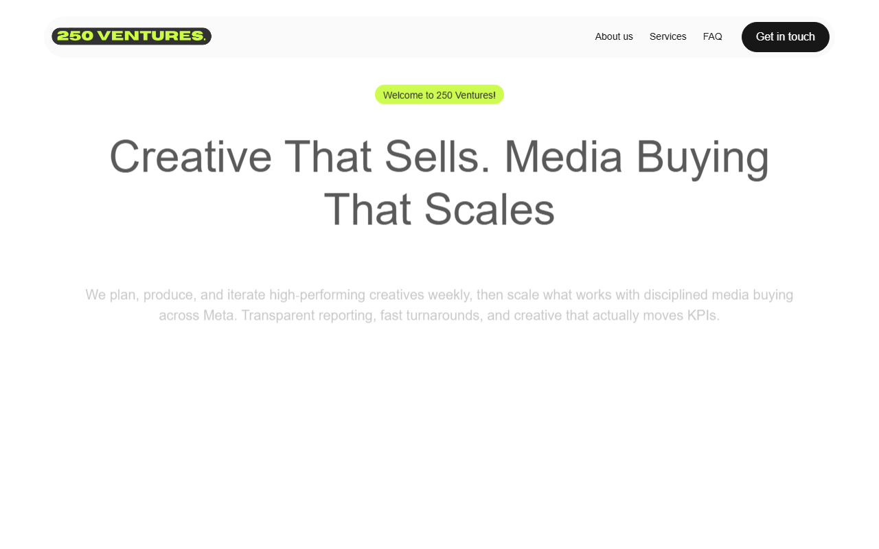 250ventures.com screenshot
