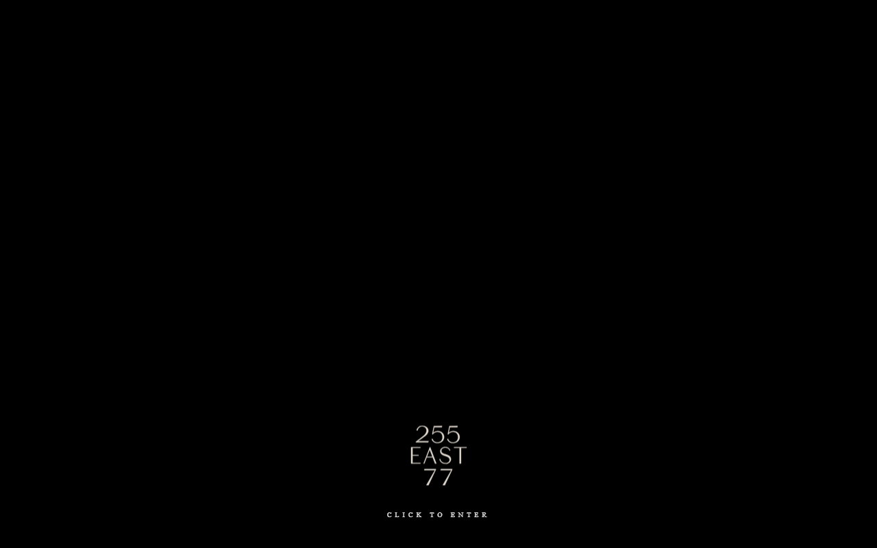 251east77thst.com screenshot