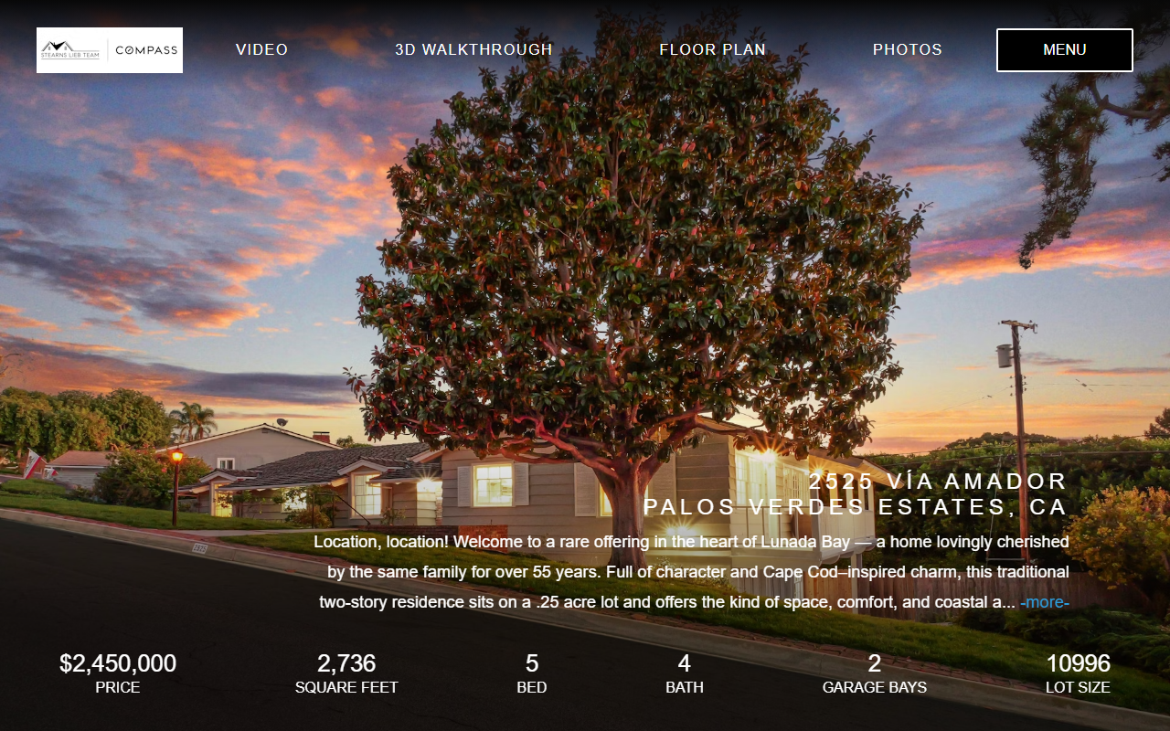 2525viaamador.com screenshot