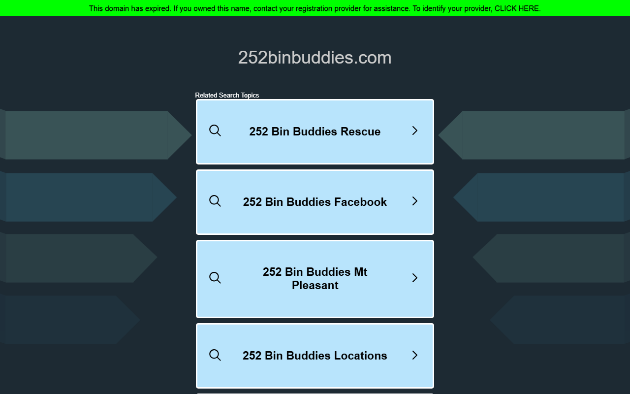 252binbuddies.com screenshot