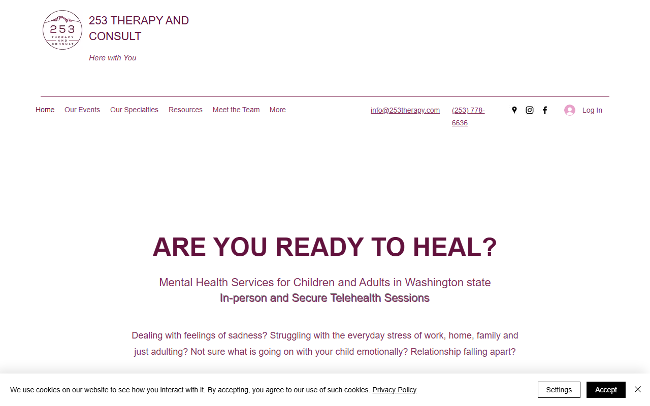 253therapy.com screenshot