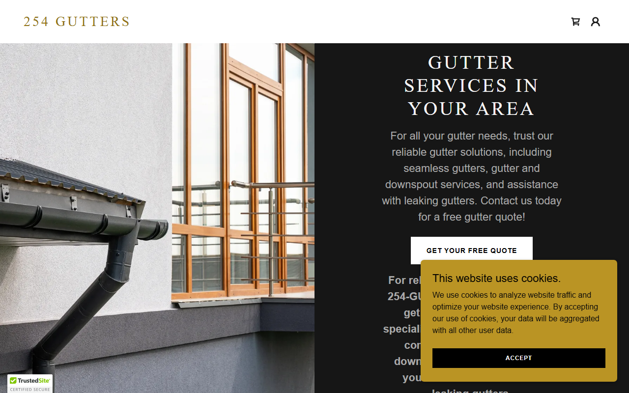 254gutters.com screenshot