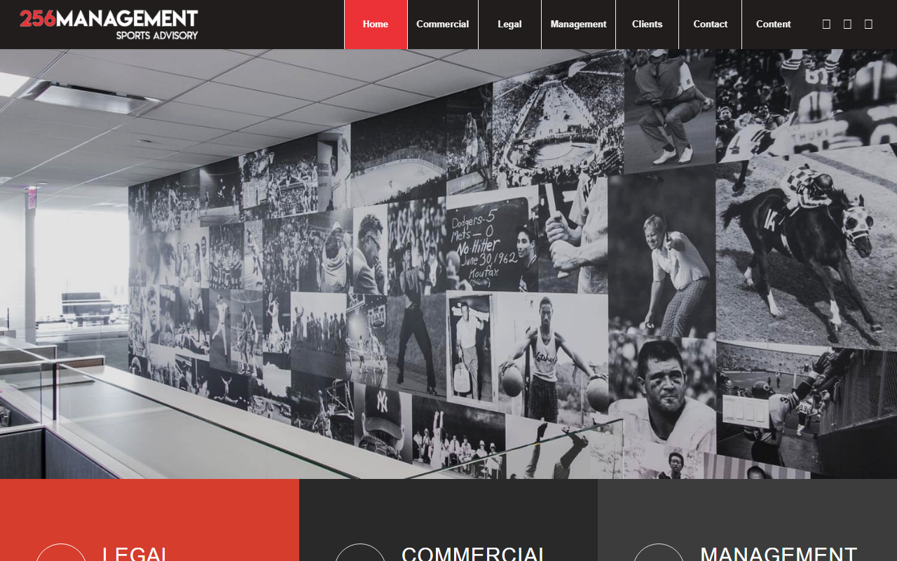 256management.com screenshot