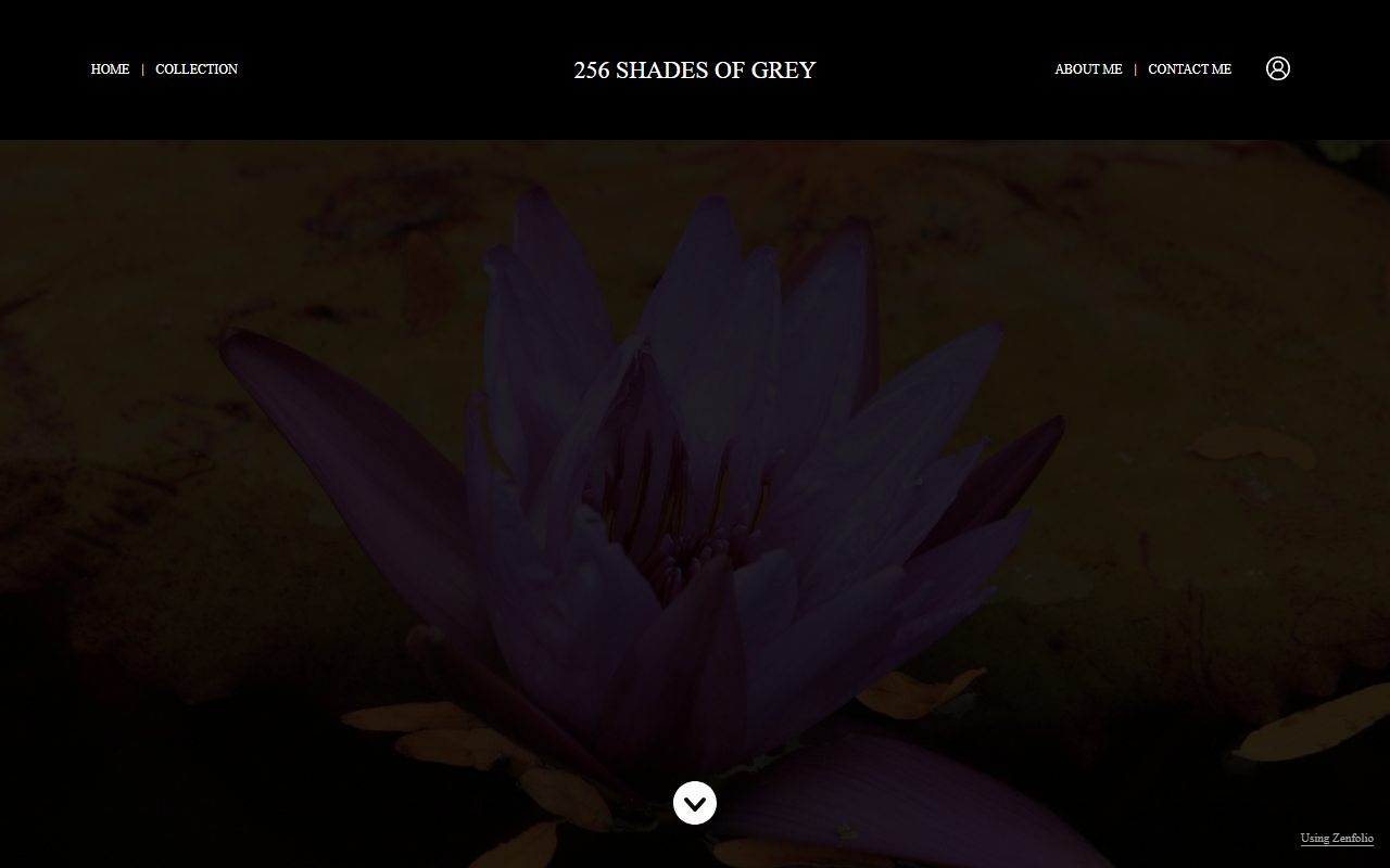 256shadesofgrey.com screenshot