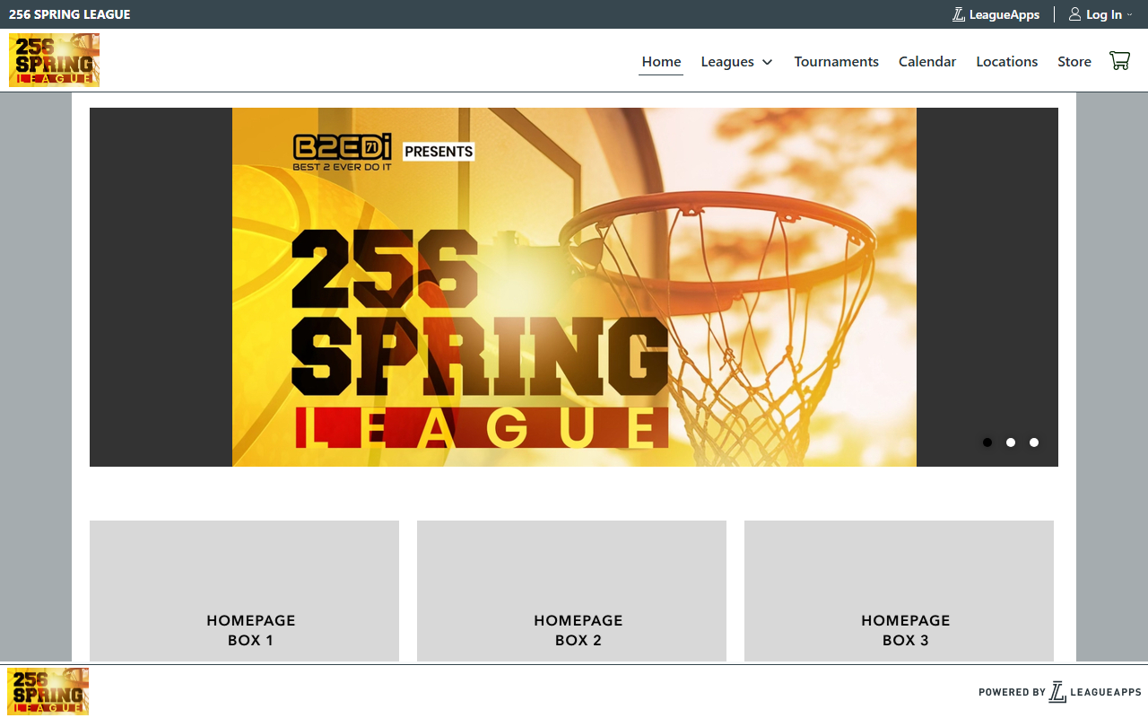 256springleague.com screenshot