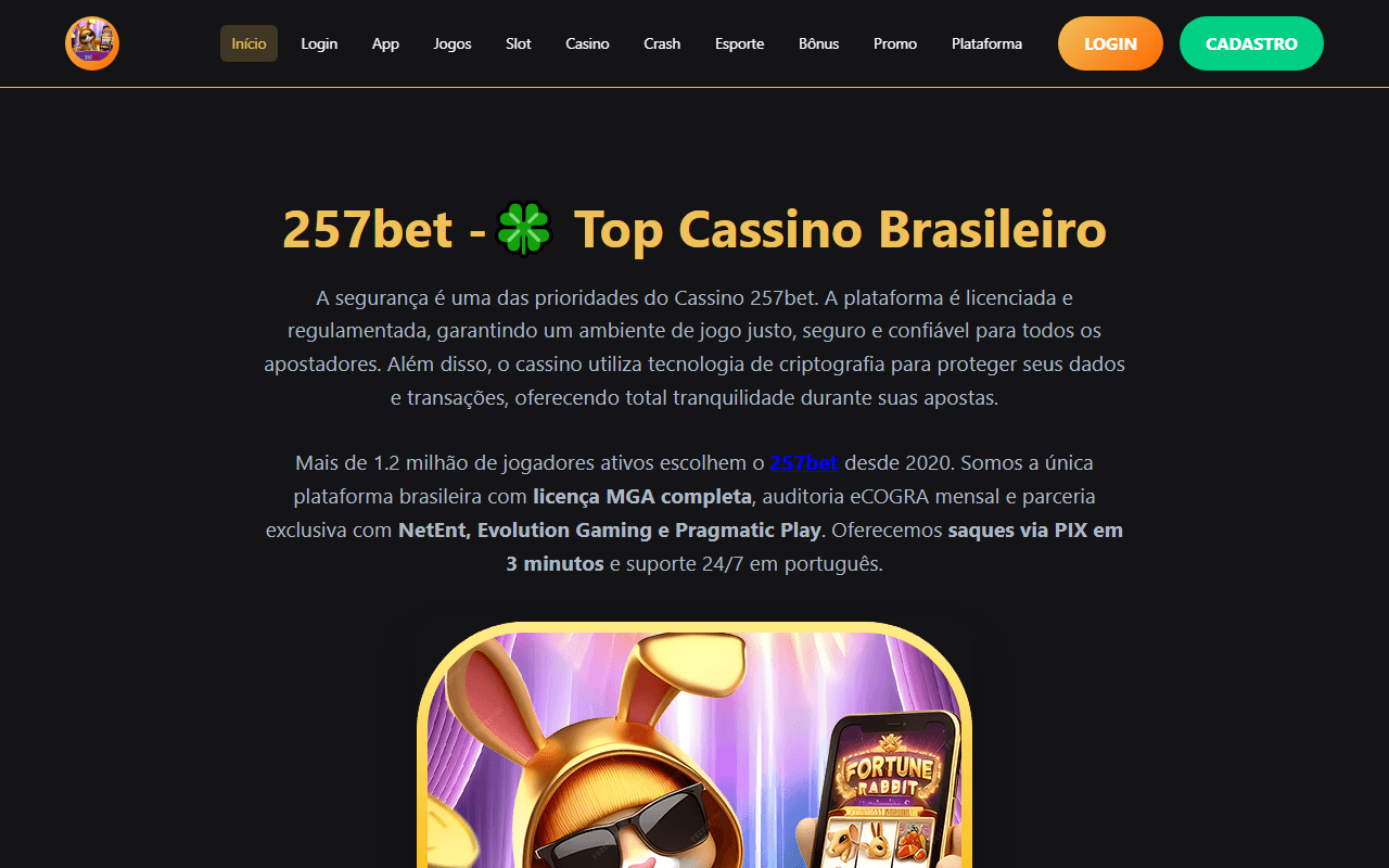 257bet-navi.com screenshot