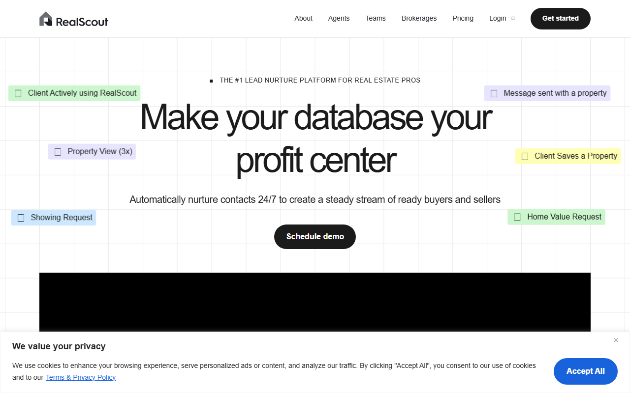 2603bellows.com screenshot