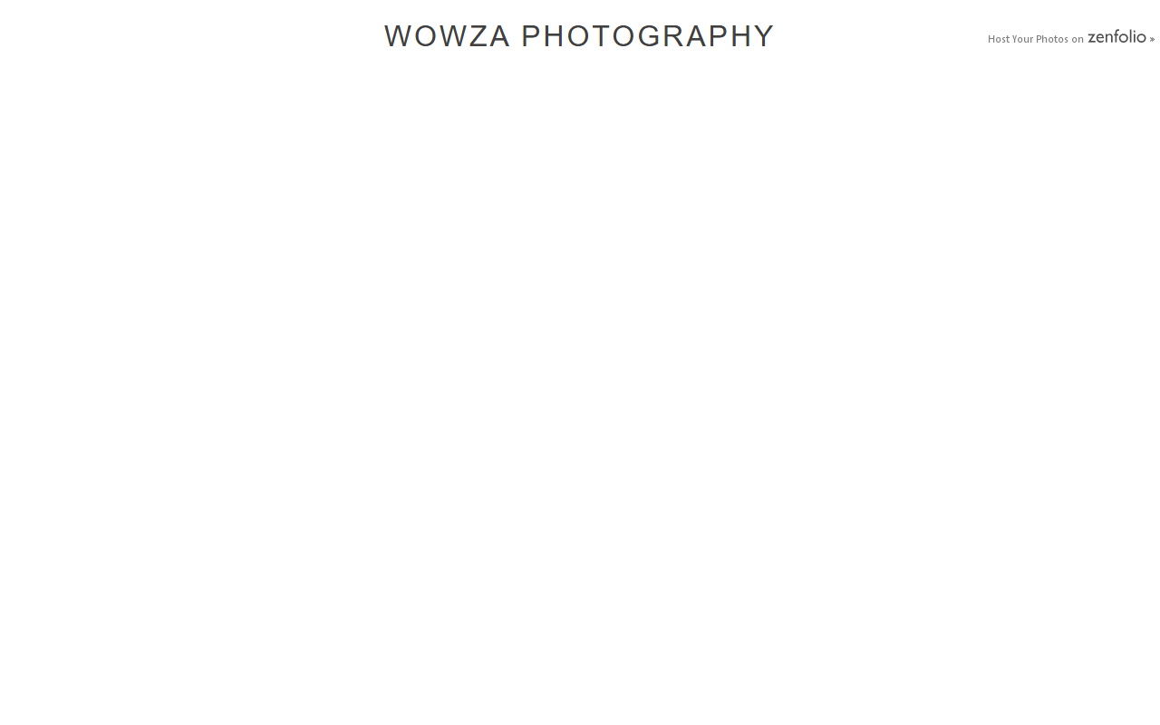 274239thave.com screenshot