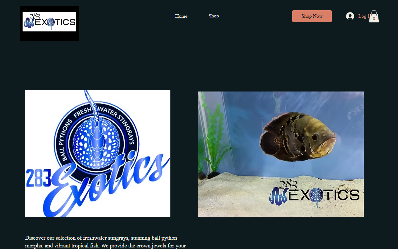 283exotics.com screenshot