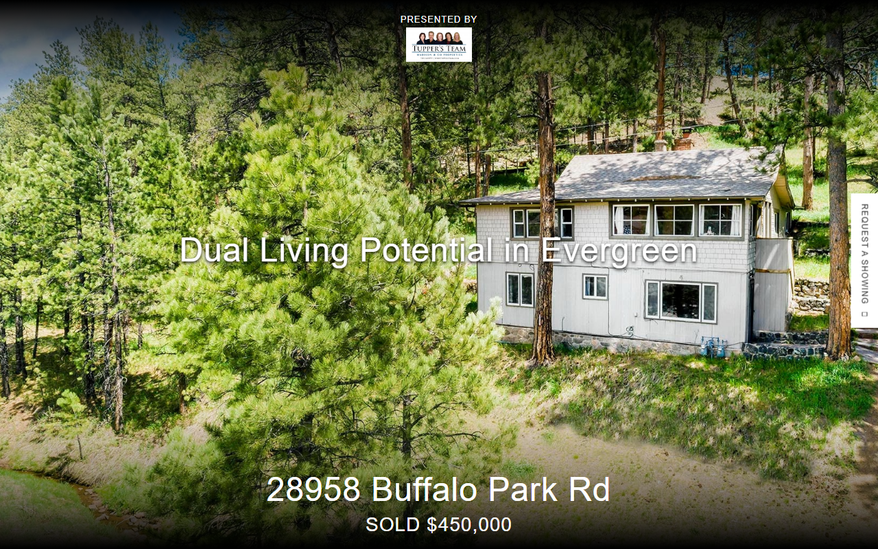 28958buffalopark.com screenshot