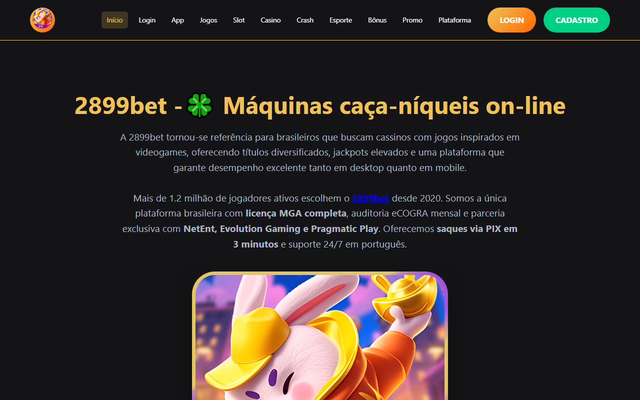 2899bet-navi.com screenshot