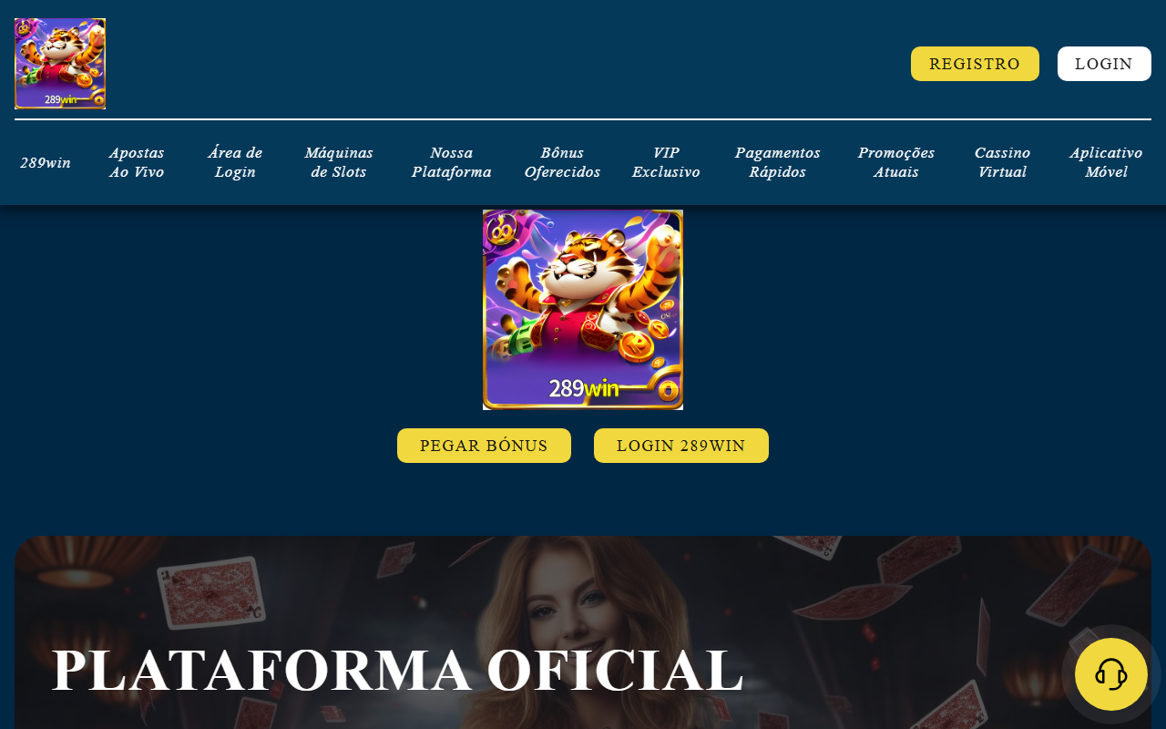 289winjogo.com screenshot