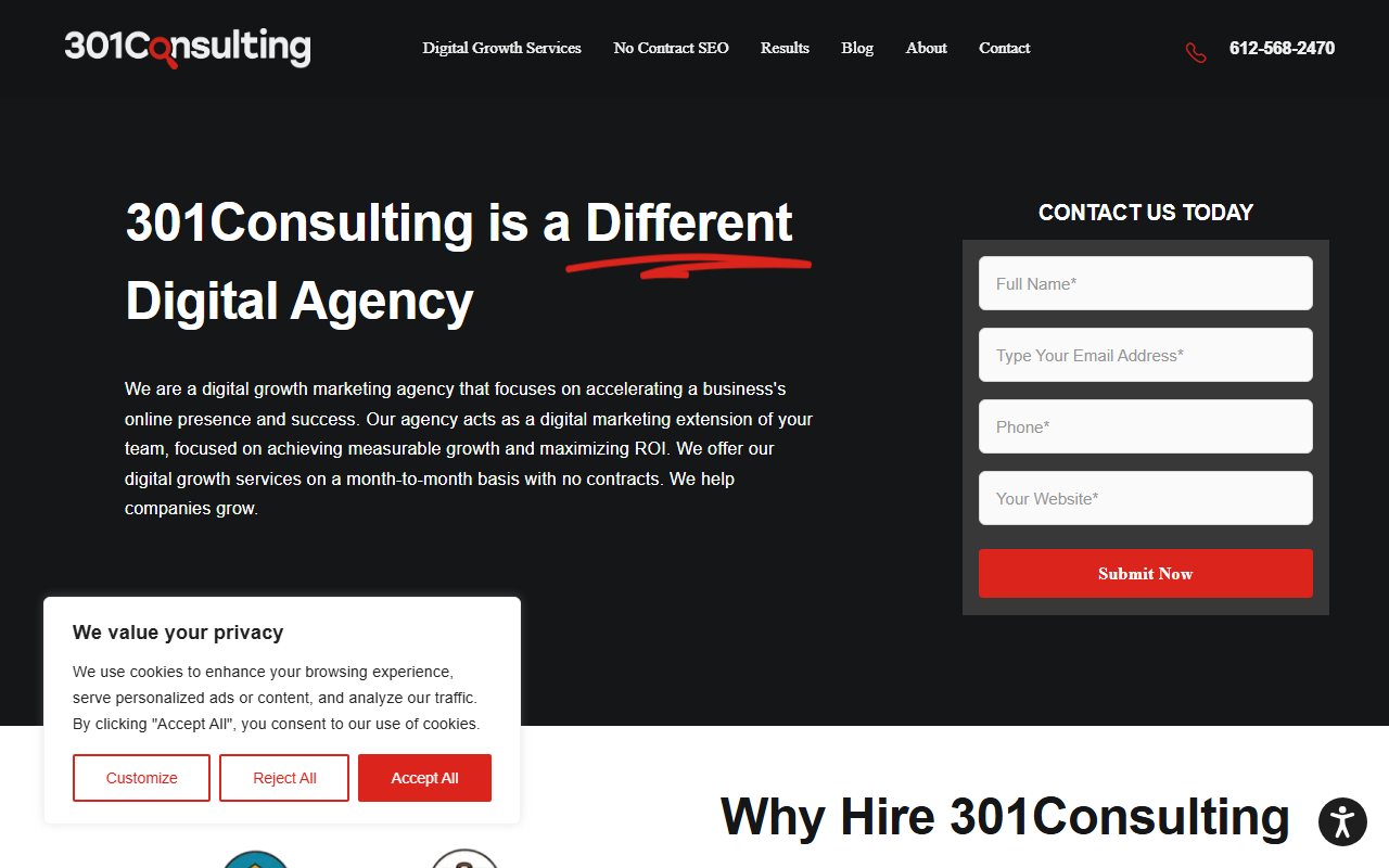 301consulting.com screenshot