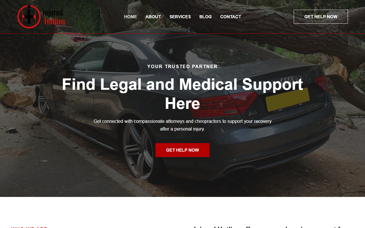 301painhotline.com screenshot
